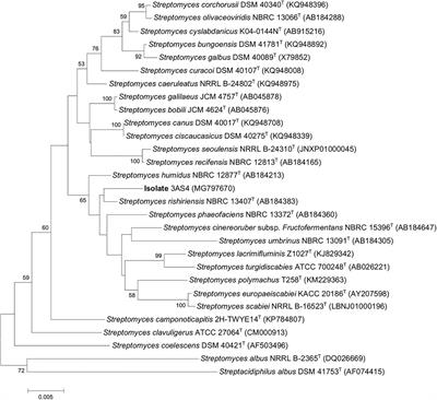 An Actinobacterium Strain From Soil of Cerrado Promotes Phosphorus Solubilization and Plant Growth in Soybean Plants